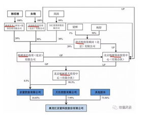 300萬(wàn)控股百億上市公司,暗度陳倉(cāng)規(guī)避借殼紅線